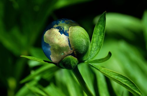 ecology-6513805_1280 Jak může vaše firma přispět k udržitelnosti?